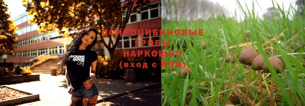 СК Абинск